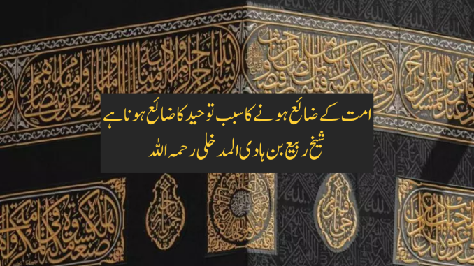 ummat zaya tawheed zaya